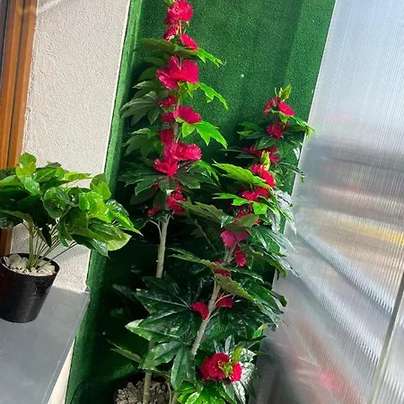 Luxury Gold By Marta Apartment *